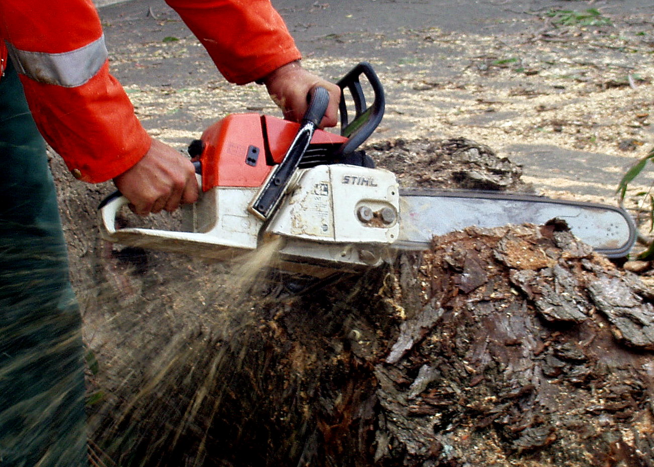 chainsaw-closeup-large.jpg