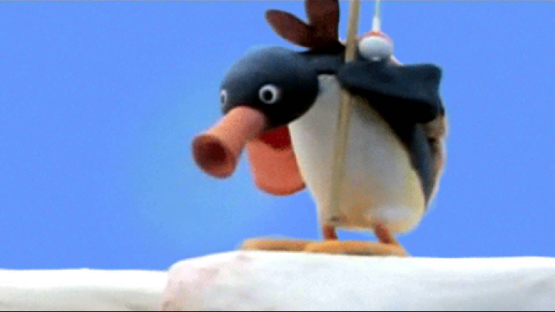 noot.jpg