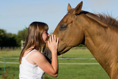 life-horse-girl.jpg